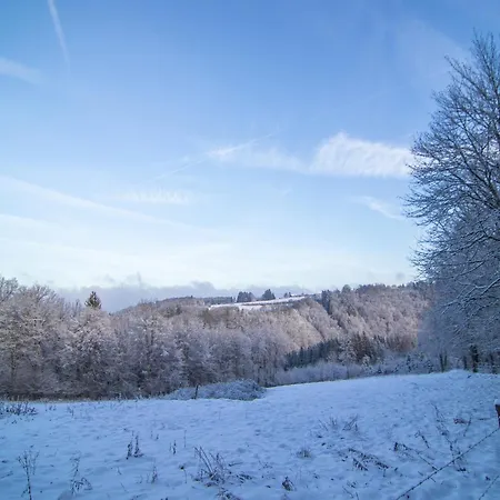 Chalet In La Roche With Fenced Garden, Cleaning Included Holiday home *