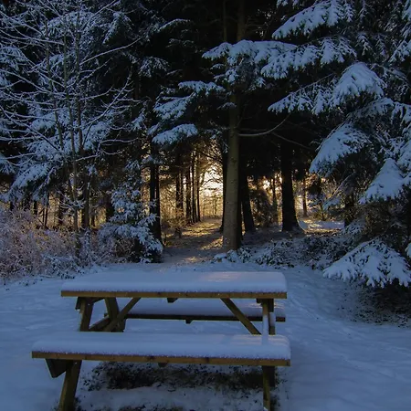 Forestside Escape Near Lake, Cleaning Included Casa vacanze *