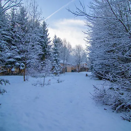 Forestside Escape Near Lake, Cleaning Included La-Roche-en-Ardenne